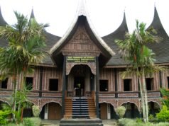 Bab 7: Hutan dan Hujan